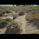 Wie wir später feststellten, hatten wir uns verfahren